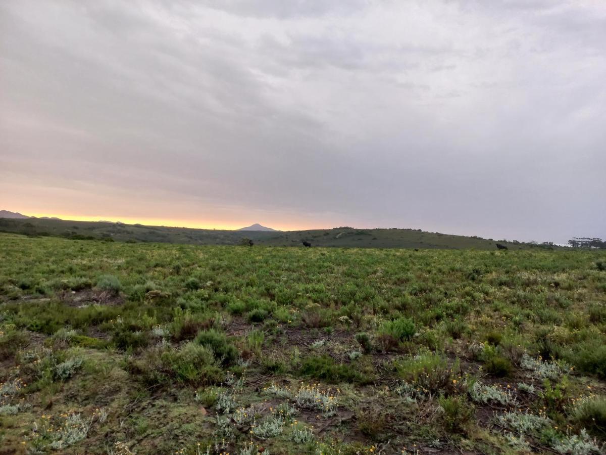 Fijnbosch Game Lodge Jeffreys Bay Dış mekan fotoğraf